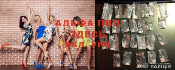 индика Беломорск