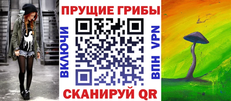 KRAKEN как зайти  Бронницы  Галлюциногенные грибы прущие грибы 